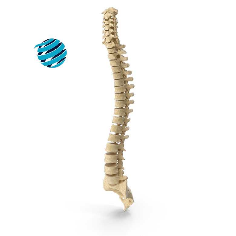 Osteopata Barcelona