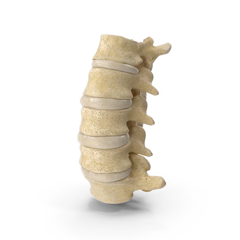 Osteopata Barcelona